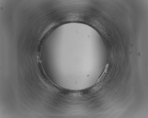 X0000072970160200608211330