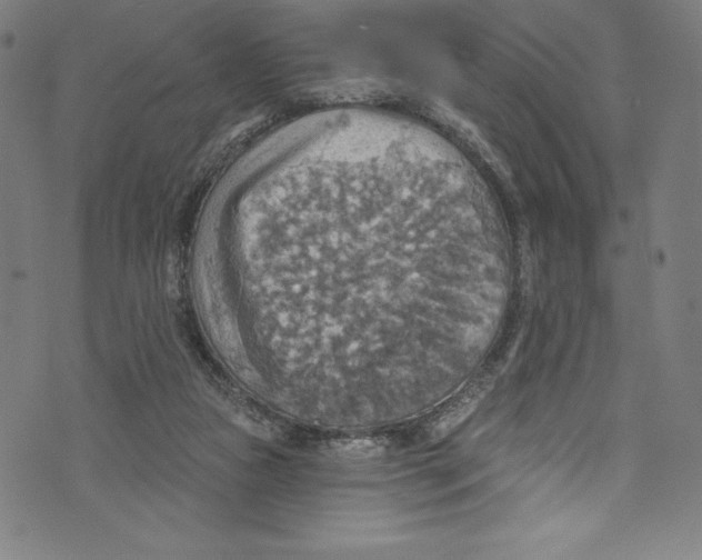 X0000072970161200608211330