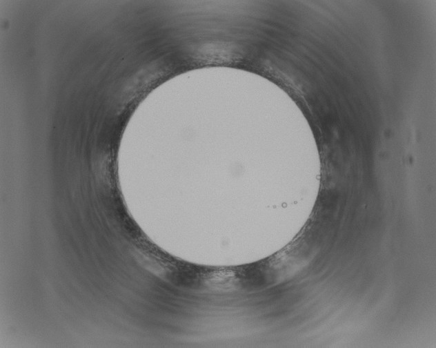 X0000072970162200608211331