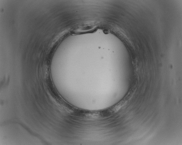 X0000072970164200608211331