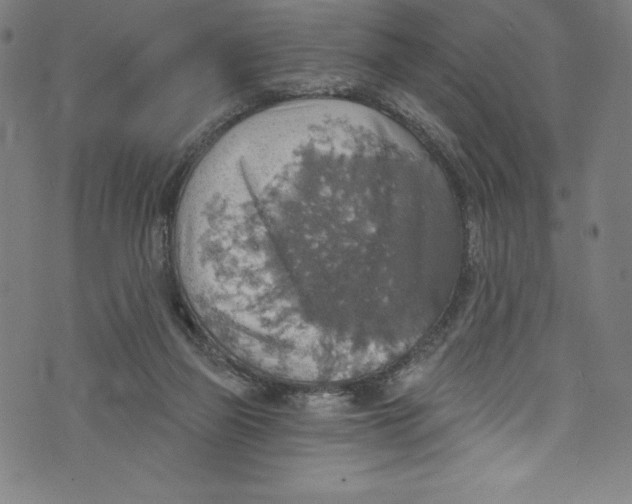 X0000072970165200608211331