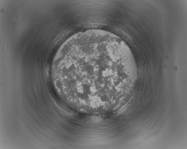 X0000072970166200608211331