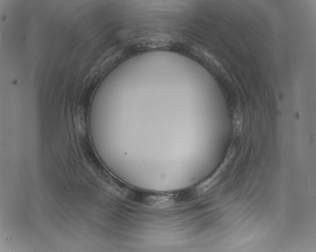 X0000072970170200608211331