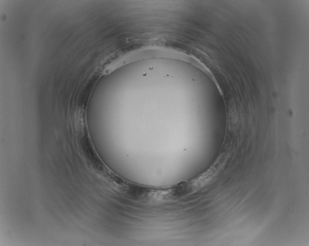 X0000072970172200608211331