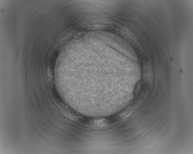 X0000072970173200608211331