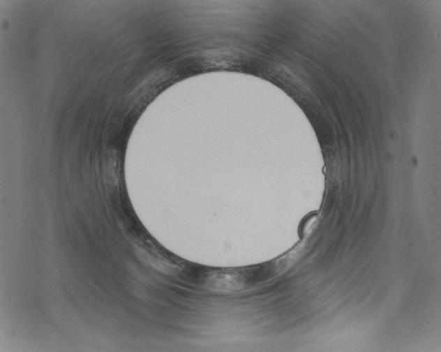 X0000072970174200608211331