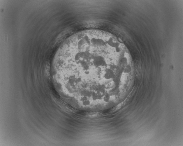 X0000072970175200608211331