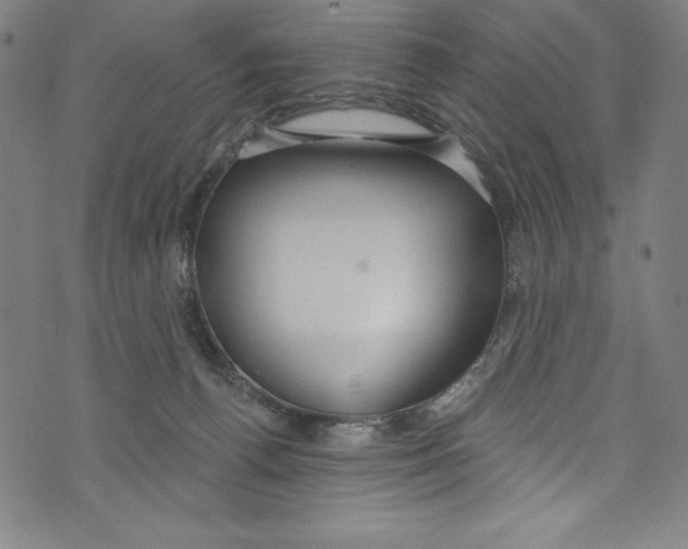 X0000072970176200608211331