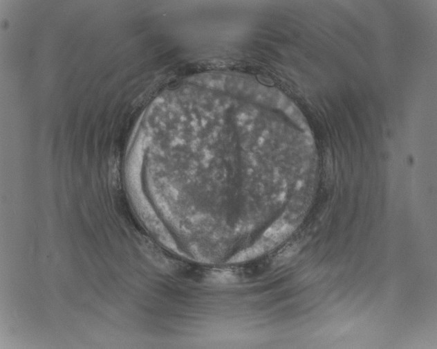 X0000072970177200608211331