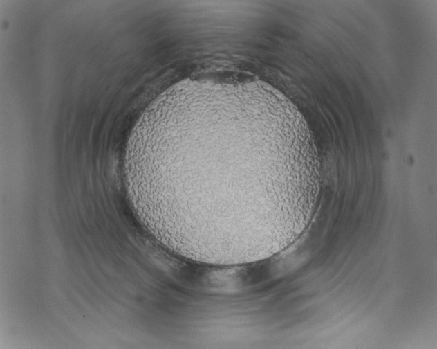 X0000072970178200608211331