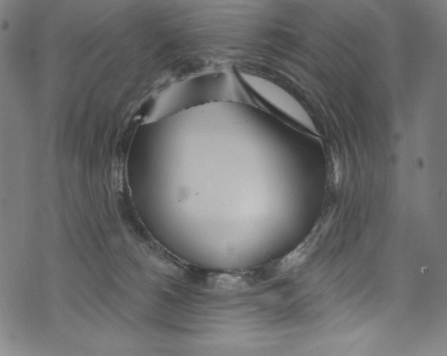 X0000072970180200608211331