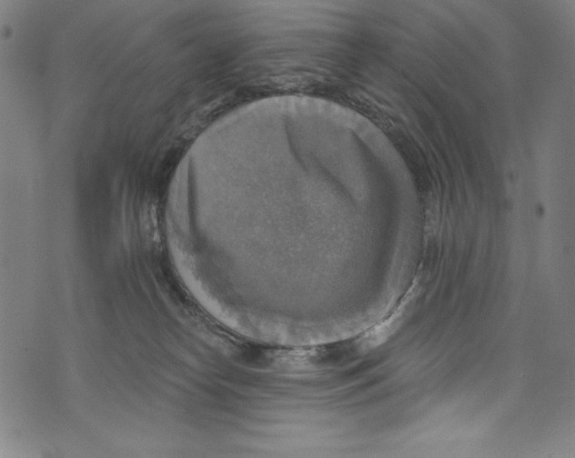 X0000072970182200608211331