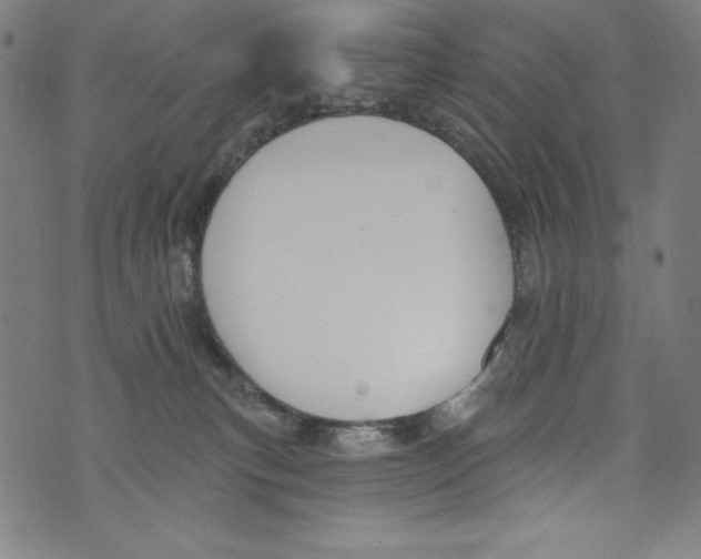 X0000072970183200608211331