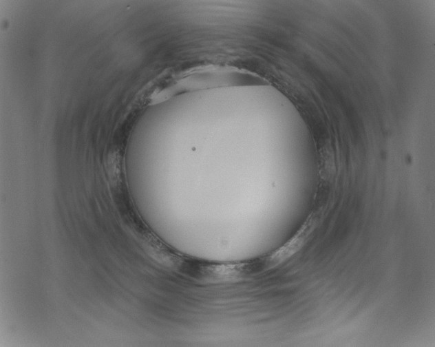 X0000072970184200608211331