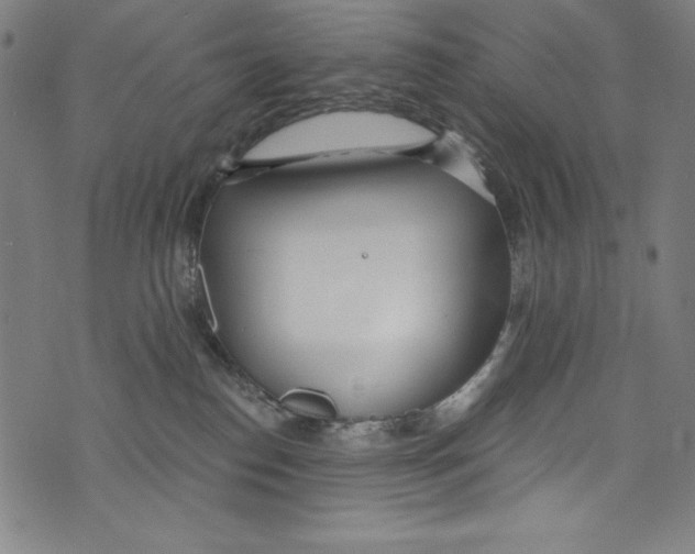 X0000072970186200608211331