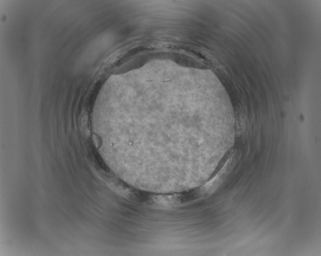 X0000072970187200608211331