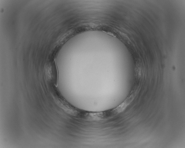 X0000072970188200608211331