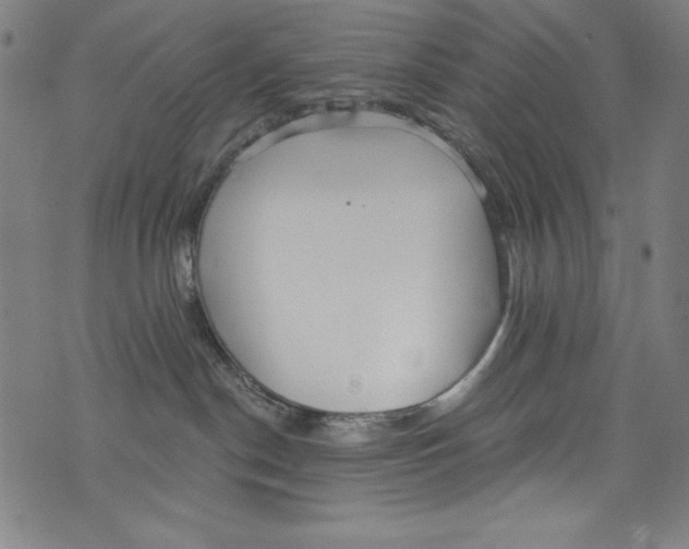 X0000072970190200608211331