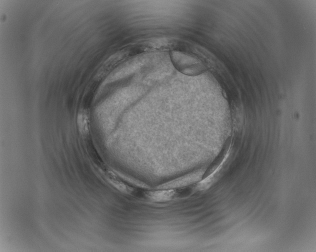 X0000072970191200608211331