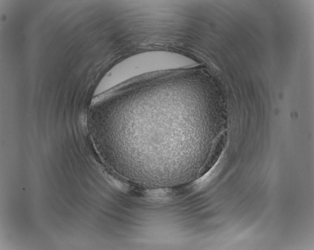 X0000072970192200608211331