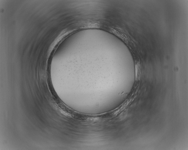 X0000072970195200608211330