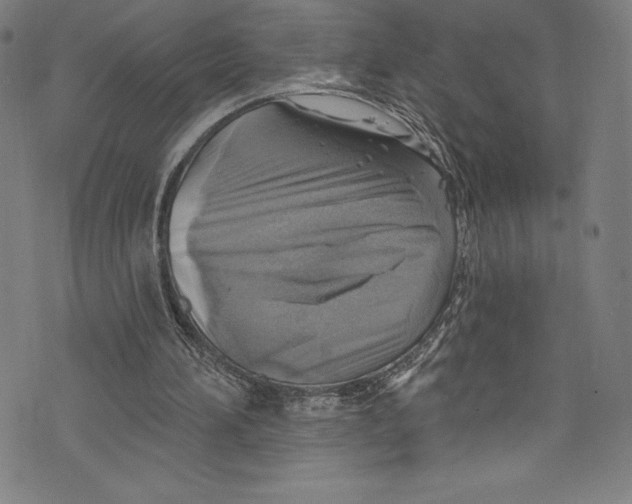 X0000072970196200608211330