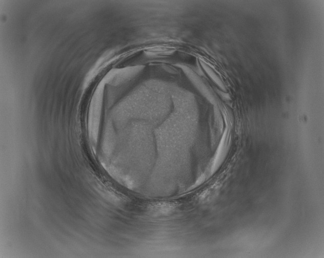 X0000072970198200608211330