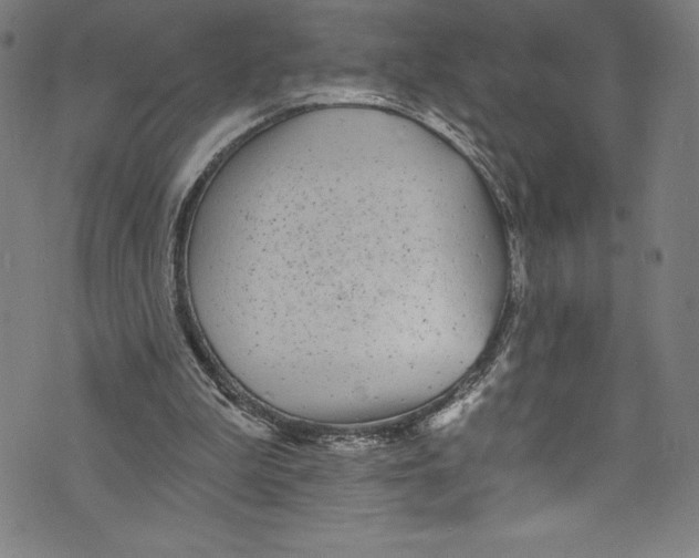 X0000072970199200608211330