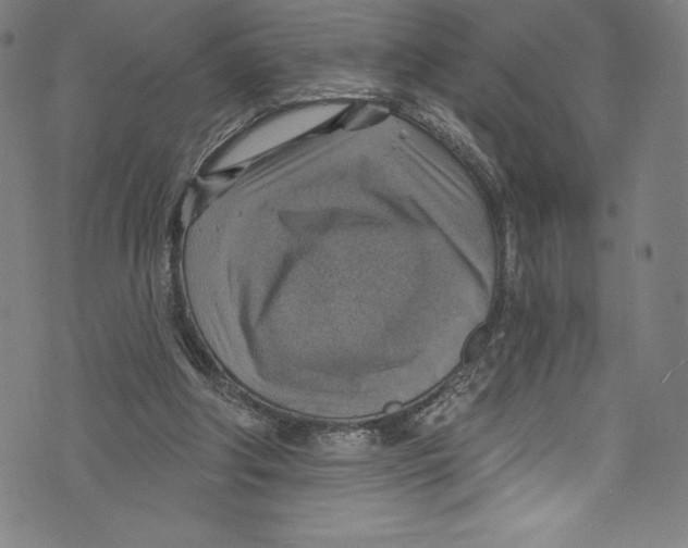 X0000072970202200608211330