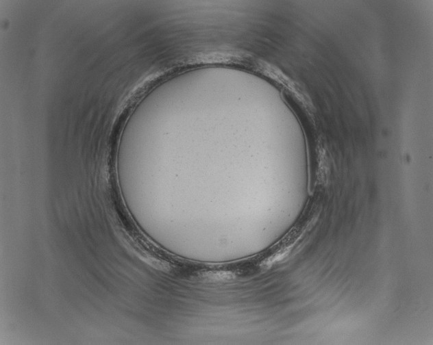 X0000072970203200608211330