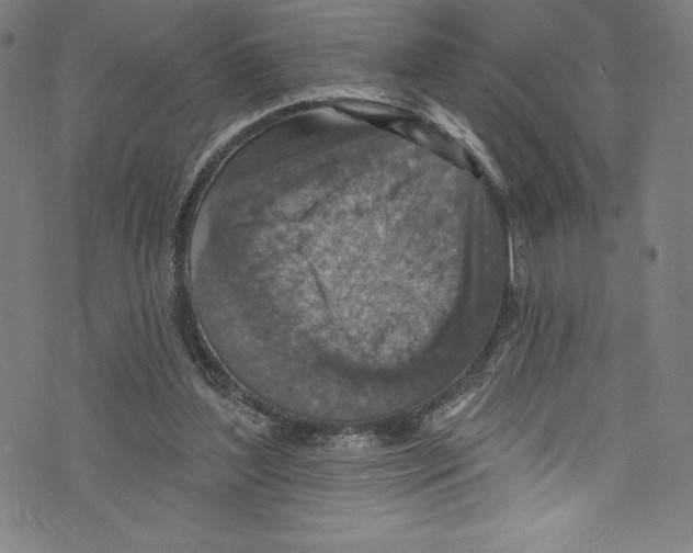 X0000072970204200608211330