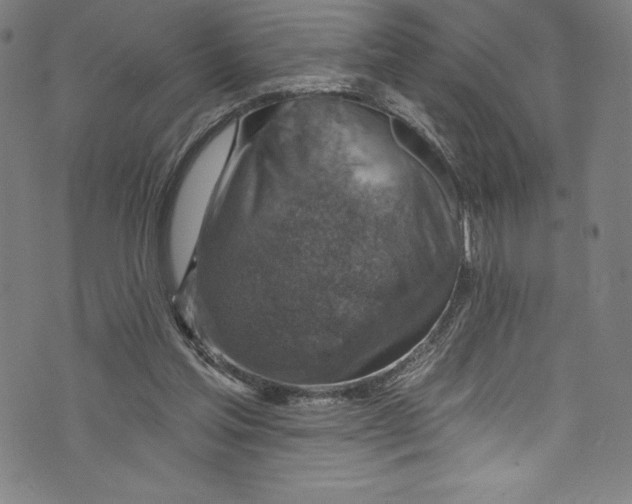 X0000072970205200608211330