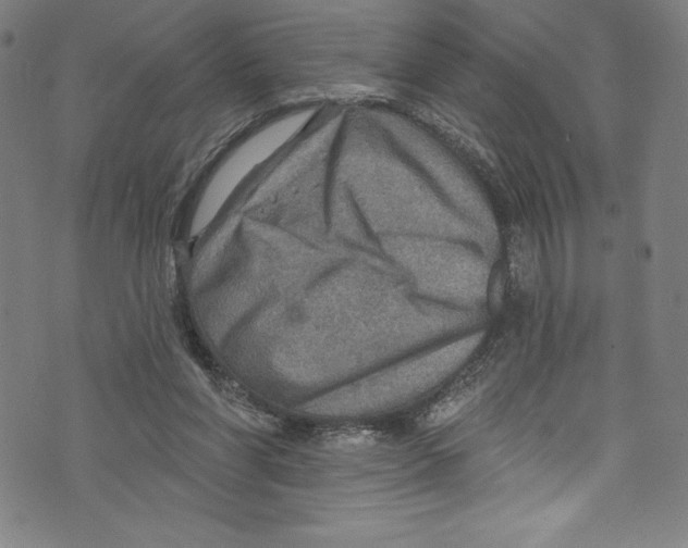 X0000072970206200608211330