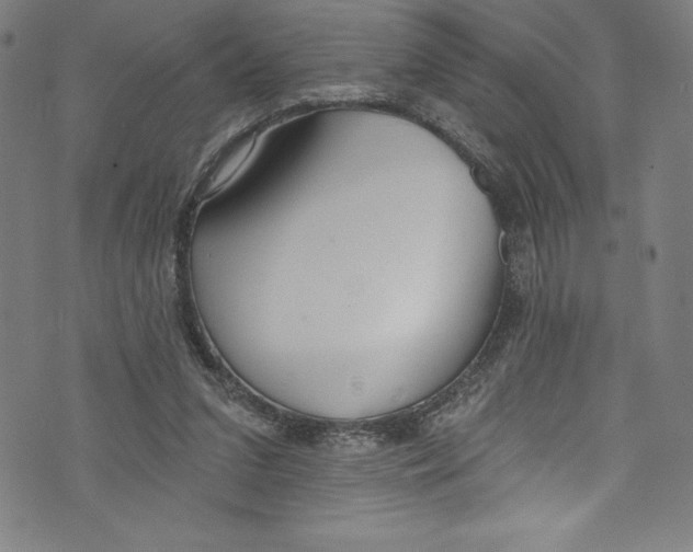 X0000072970207200608211330