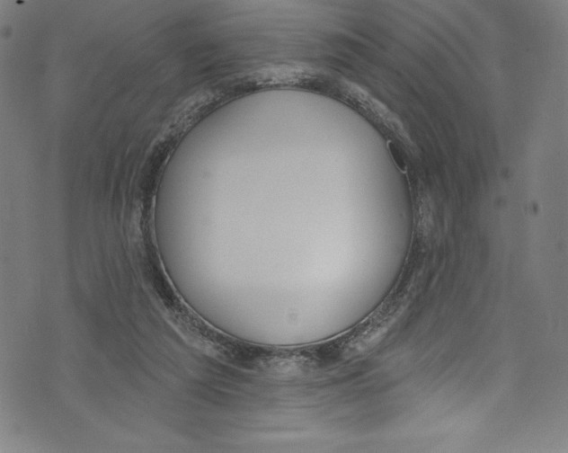 X0000072970209200608211330