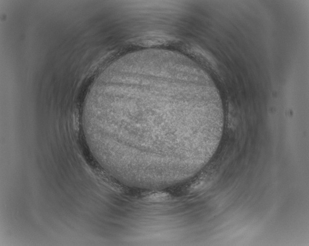 X0000072970210200608211330