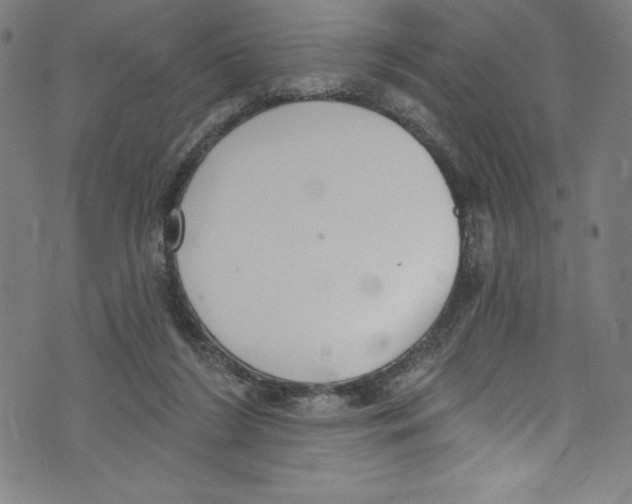 X0000072970212200608211330