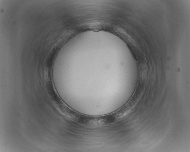 X0000072970213200608211330