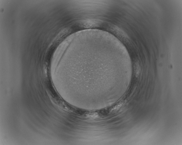 X0000072970214200608211330