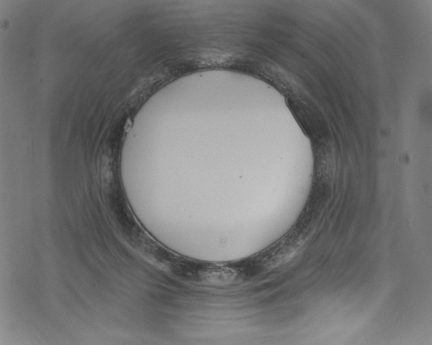 X0000072970215200608211330