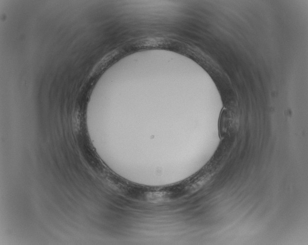 X0000072970216200608211330