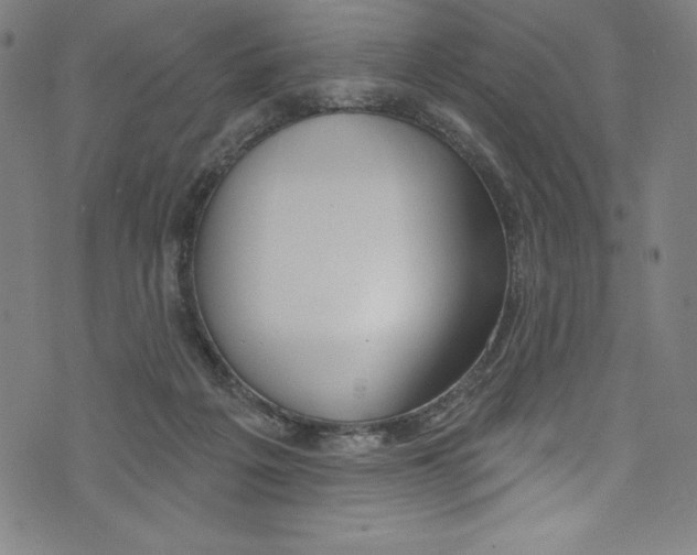 X0000072970217200608211330