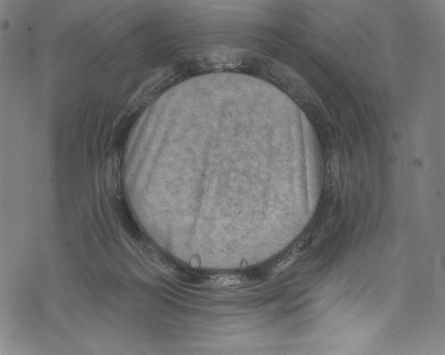 X0000072970218200608211330