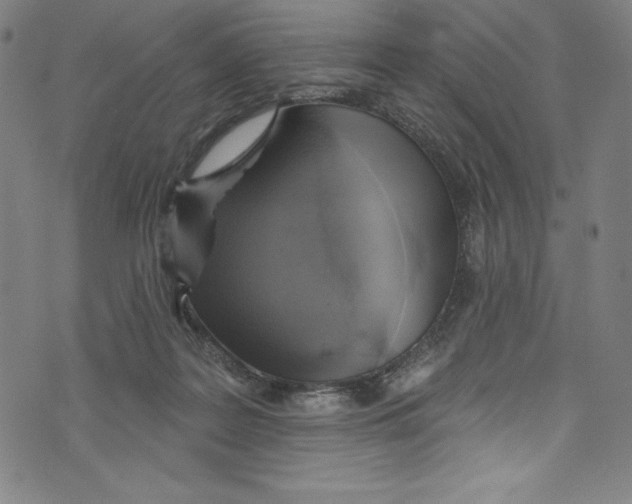 X0000072970219200608211330