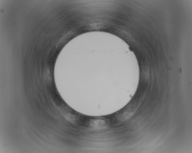 X0000072970220200608211330