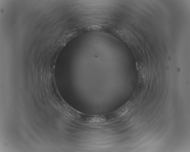 X0000072970223200608211330