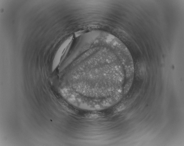 X0000072970224200608211330