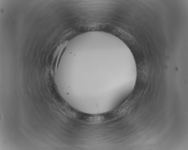 X0000072970225200608211330