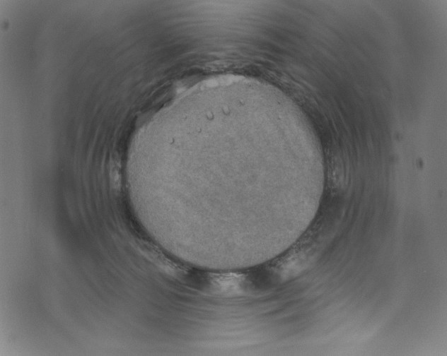 X0000072970226200608211330