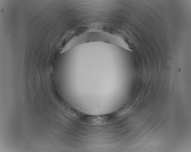 X0000072970229200608211330